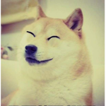 mr.doge fan group!