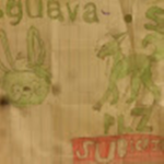 The Guava's