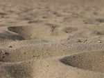 Sandbox Project