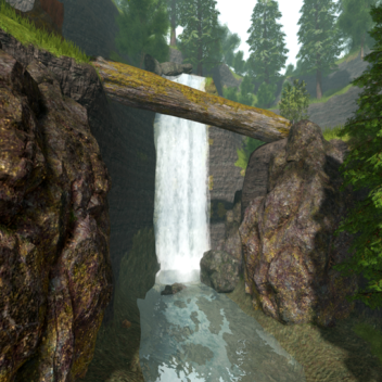 Rainy Forest [Showcase]