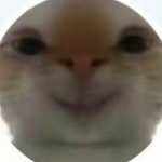 cvhhhhh