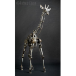 Robotic Mechanics