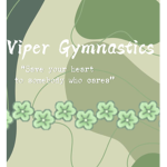 Viper Gymnastics