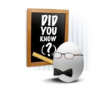 FUN FACT FROM 777zahar