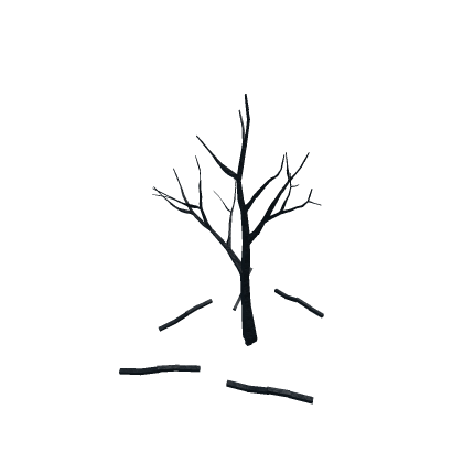 burnt tree
