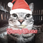 SuntySaves