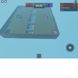 Capture flag