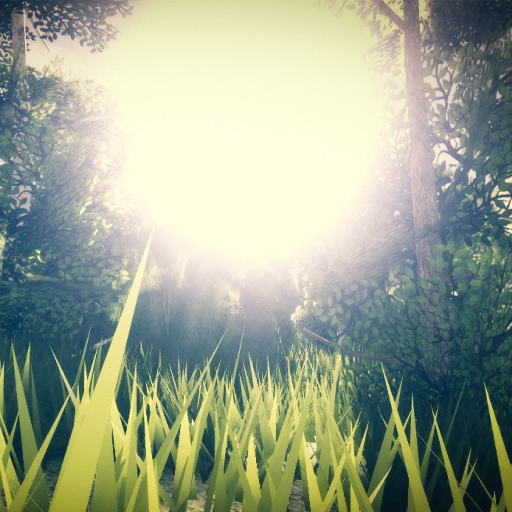 『 Forest Showcase 』