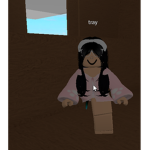 felony-