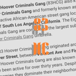 83 Hxxver Crims