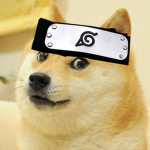 Grupo de Doge Ninja