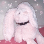 +* Holy Sanrio *+