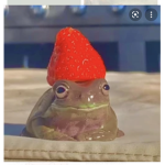 Froggy vibezzz
