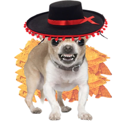 Earthquake Entertainment Roblox group icon