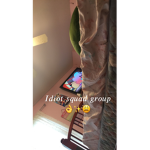 Idiot squad group.