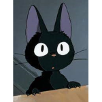 pawshop productions n('.')n