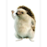 Sonic's Group lel