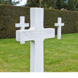 Flanders Fields icon