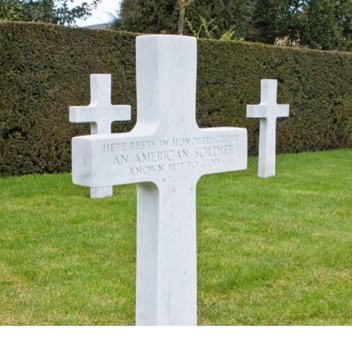 Flanders Fields