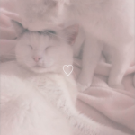 yinn's lullaby