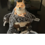 Mr slow doge fan group