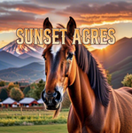 ~Sunset Acres~