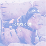 - capy club -