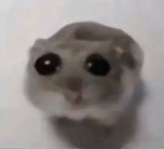 Rat cage 56473