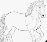 horse training group!