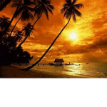 Tropical hangout :)