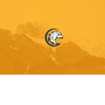 Legt Gaming Fan Group