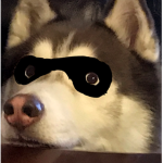 Killa_Pug's Merch shop for troll, normal, and more
