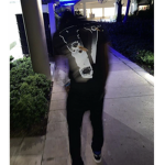 WASSUH HOMIE