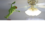 Memes for life kermit is on a fan