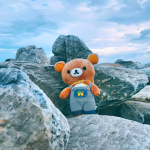 teddys angels