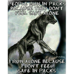 wolf pack2