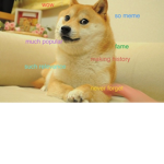 Life as a doge