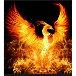 Warriors of Phoenix’s