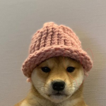 dog with hat gang