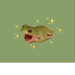 Wild frogs
