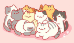 The best cats & dogs friends