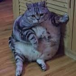 bigburps