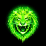 Team elite lions