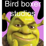 Bird boxers studios