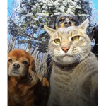 UwU cat Uwu