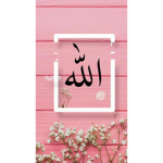 Mehroj group