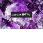 Purple 조직 V1
