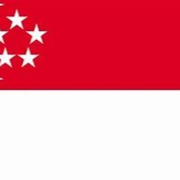Singapore Roleplay icon