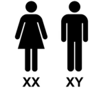 Gender Only Games