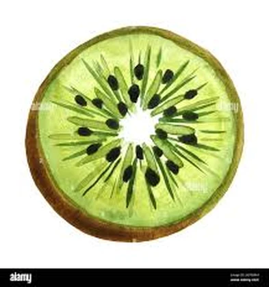 Kiwi Gang- Roblox group icon